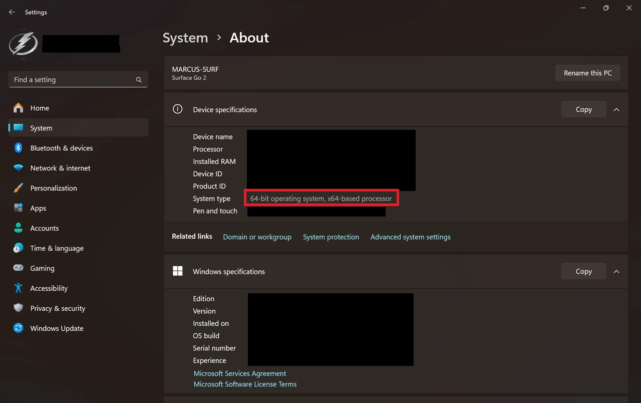 Check system type in Windows for SDL setup